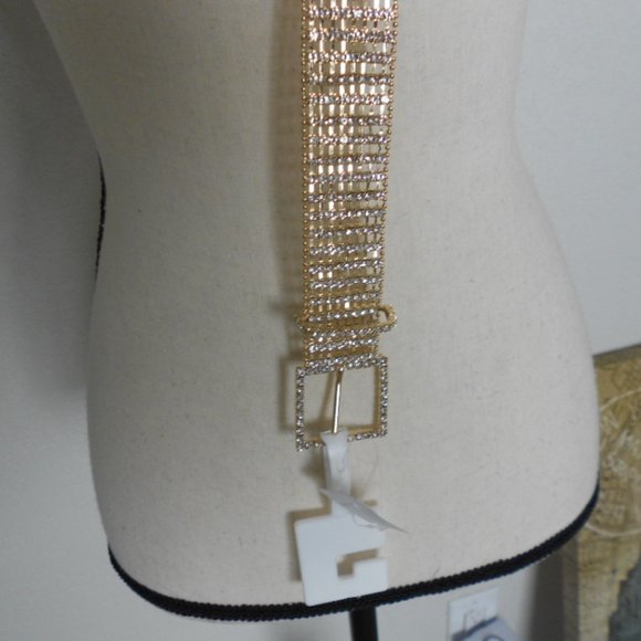 The Almost Perfect Belt! main image 5